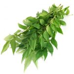 Curry Leaf