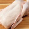 Duck Meat