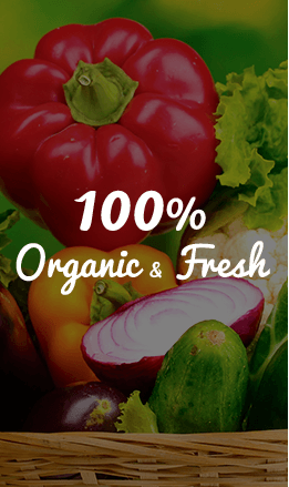 Fresh Veggies Fresh Veggies