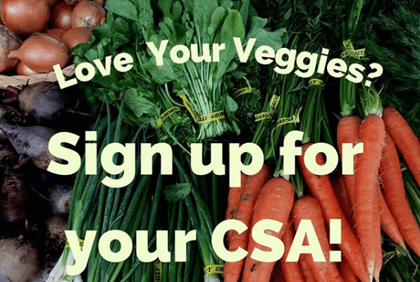 Screen-Shot-2018-02-05-at-10.56.24-AM