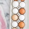 Chicken Eggs - Free Range, Nutrient dense eggs