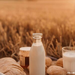 anita-austvika-orVg0K35hlw-unsplash anita-austvika-orVg0K35hlw-unsplash