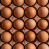 Chicken Eggs - Free Range, Nutrient dense eggs