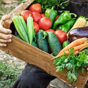 farmer-holding-csa-box-850x500 farmer-holding-csa-box-850x500