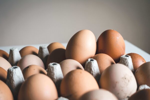 Chicken Eggs - Free Range, Nutrient dense eggs