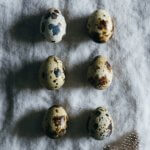 Quail Eggs - Cage less egg production